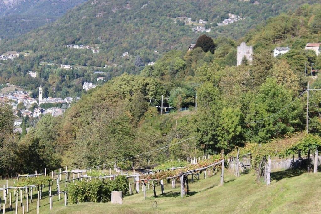La Casa Nel Prunent Trontano Zewnętrze zdjęcie