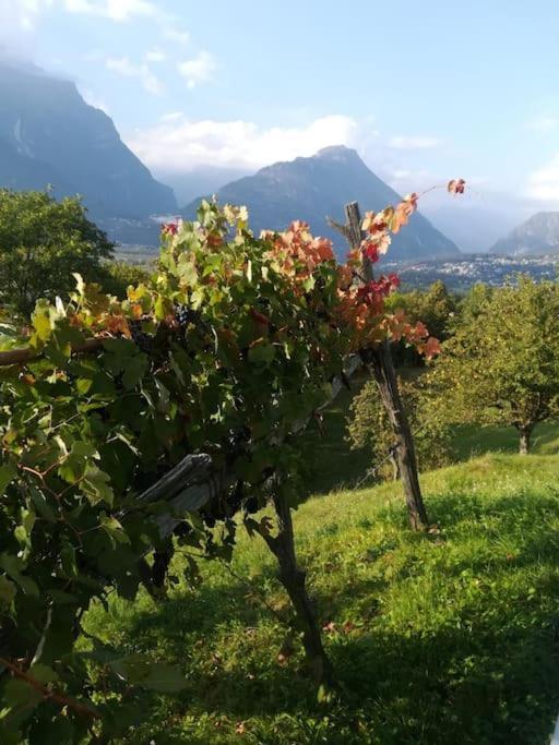 La Casa Nel Prunent Trontano Zewnętrze zdjęcie